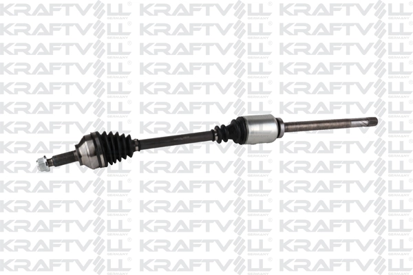 Drive Shaft (01010282)