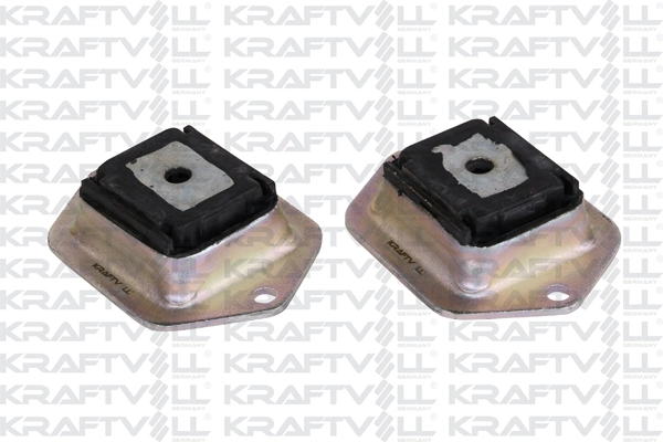 Bushing, axle beam (10010999)