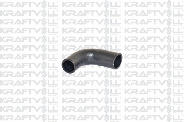 Radiator Hose (10031135)