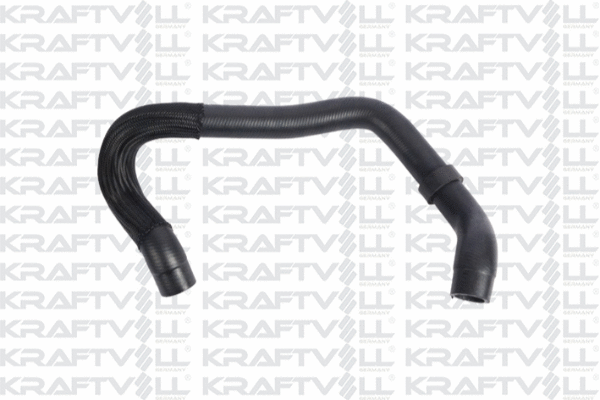 Radiator Hose (10031493)