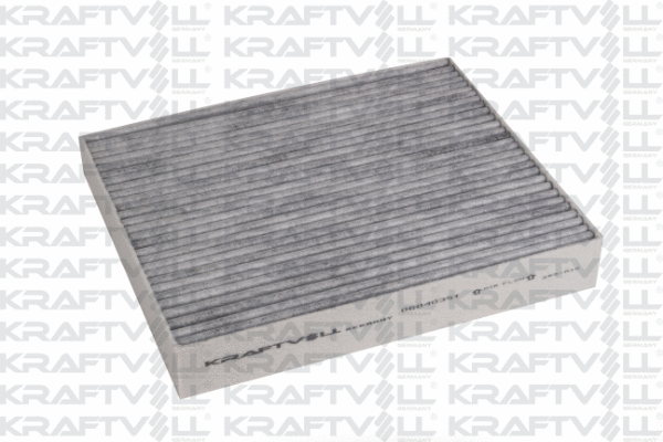 Filter, cabin air (06040351)