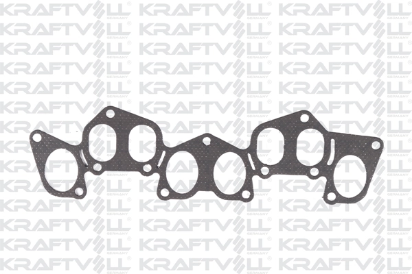 Gasket, exhaust manifold (12010117)