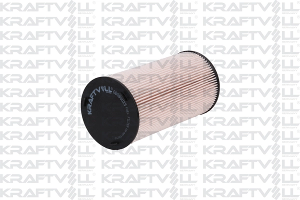 Fuel Filter (06080023)