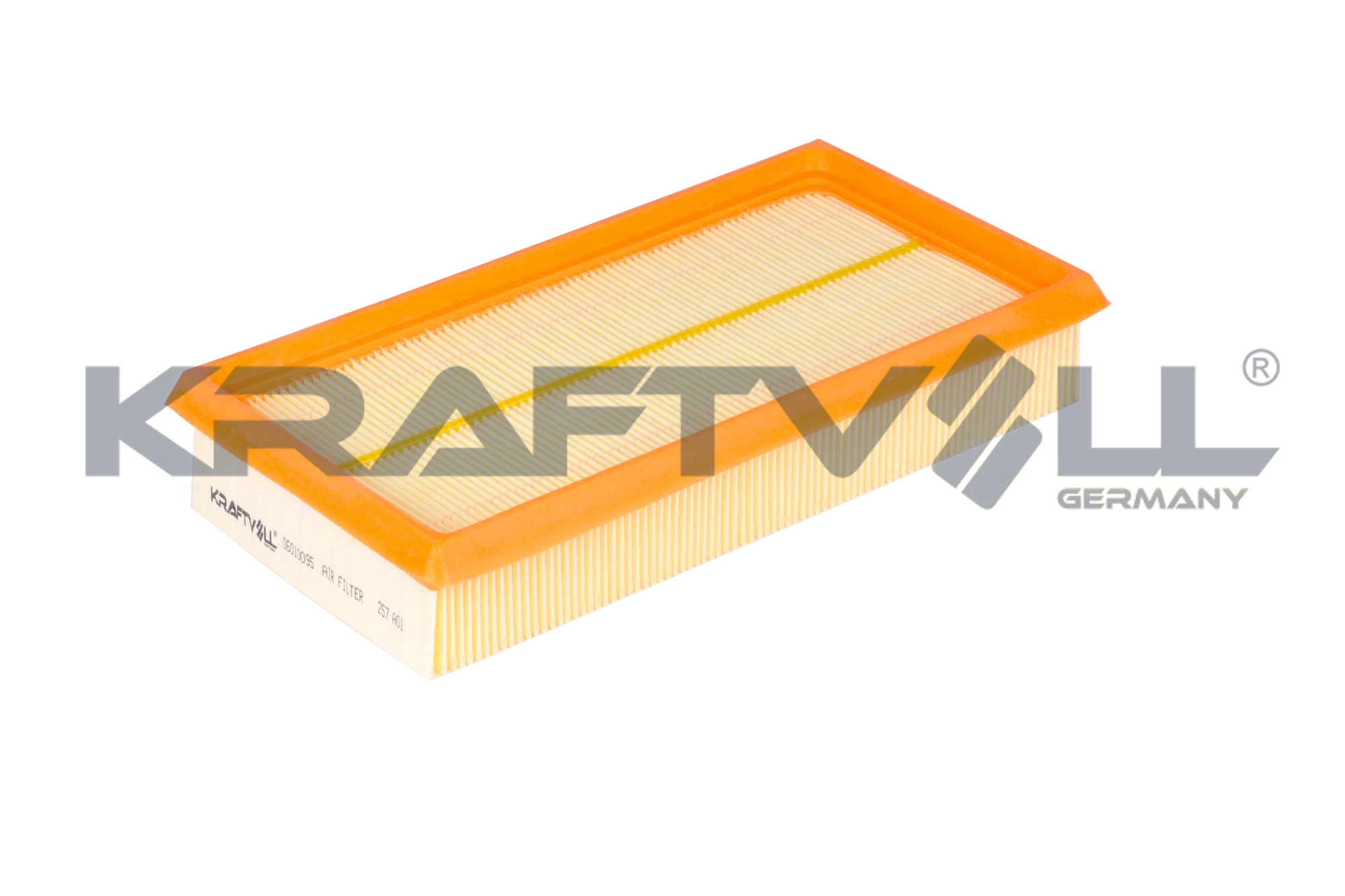 Air Filter (06010095)