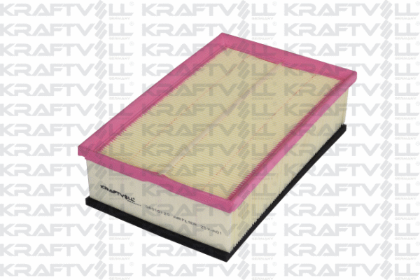 Air Filter (06010120)