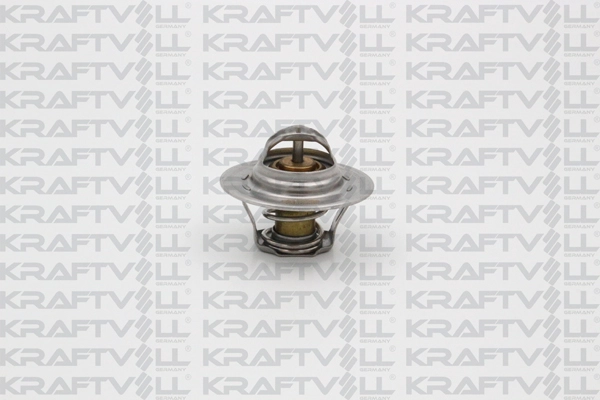 Thermostat, coolant (08110063)
