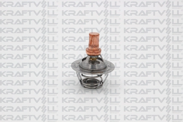 Thermostat, coolant (08110079)