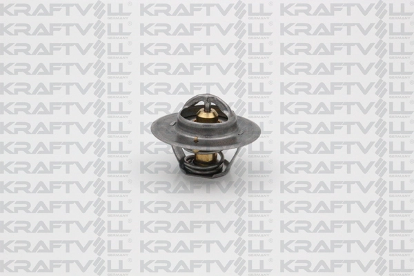 Thermostat, coolant (08110112)