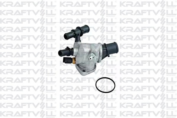 Thermostat, coolant (08100171)