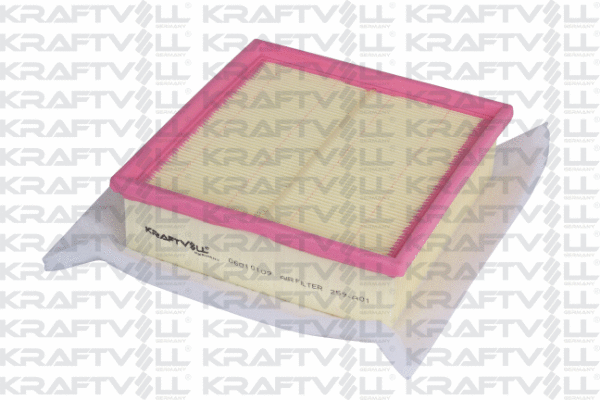 Air Filter (06010109)