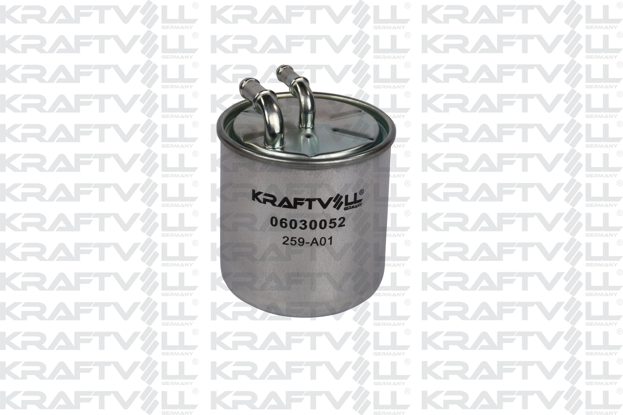 Fuel Filter (06030052)