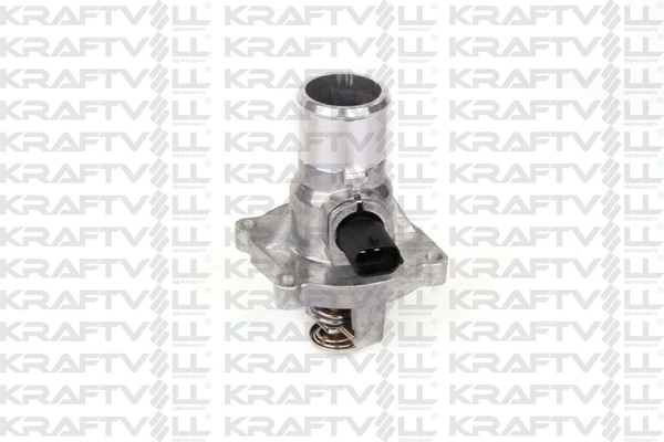 Thermostat, coolant (08100101)