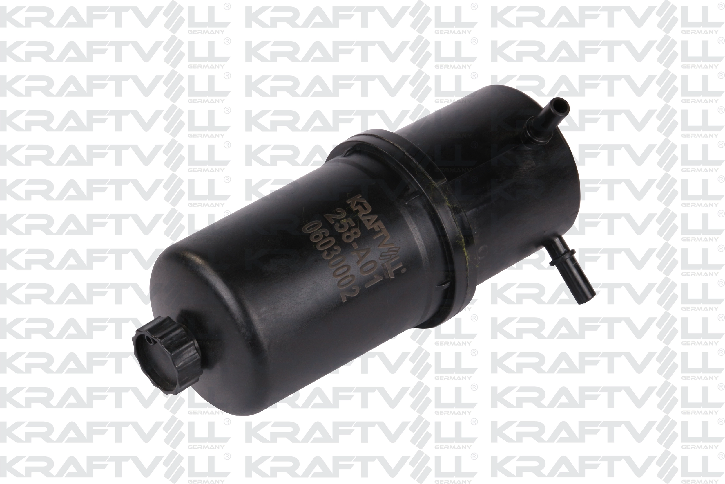 Fuel Filter (06030002)