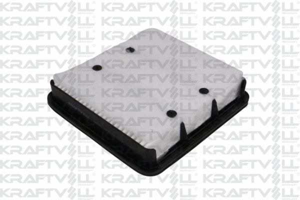 Air Filter (06010260)