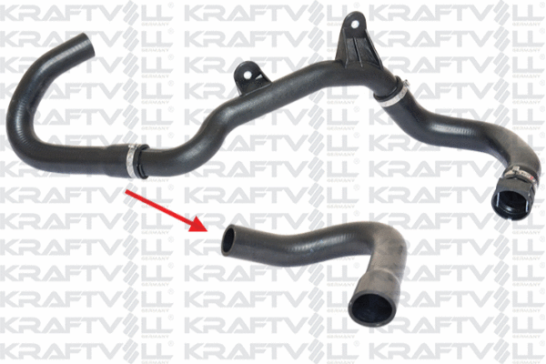 Radiator Hose (10030988)
