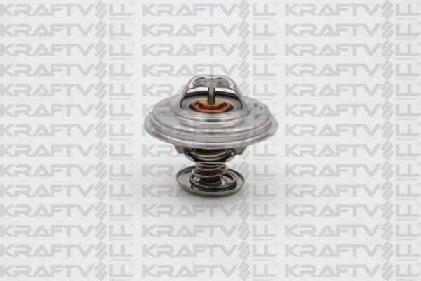 Thermostat, coolant (08110097)