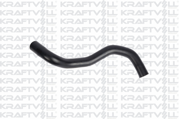 Radiator Hose (10032242)