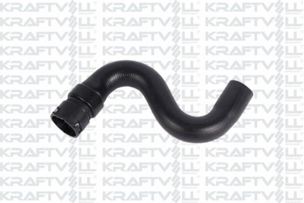 Radiator Hose (10032650)