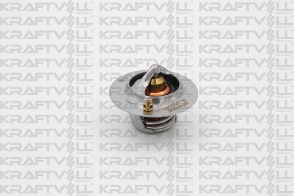 Thermostat, coolant (08110116)