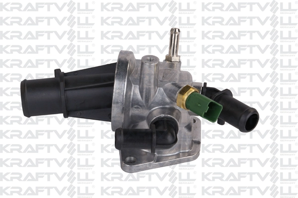 Thermostat, coolant (08100054)