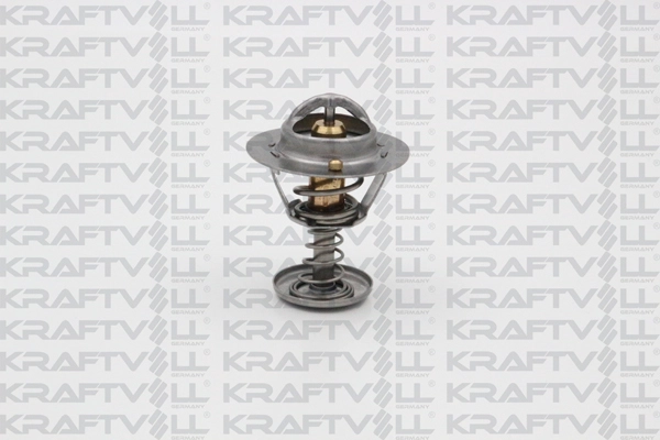 Thermostat, coolant (08110059)
