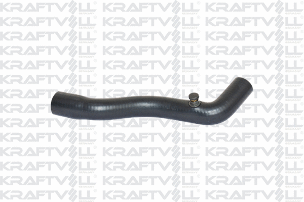 Radiator Hose (10032536)