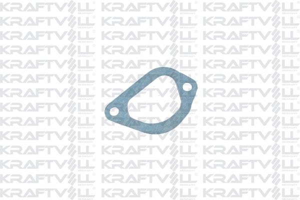 Seal, thermostat (12010103)