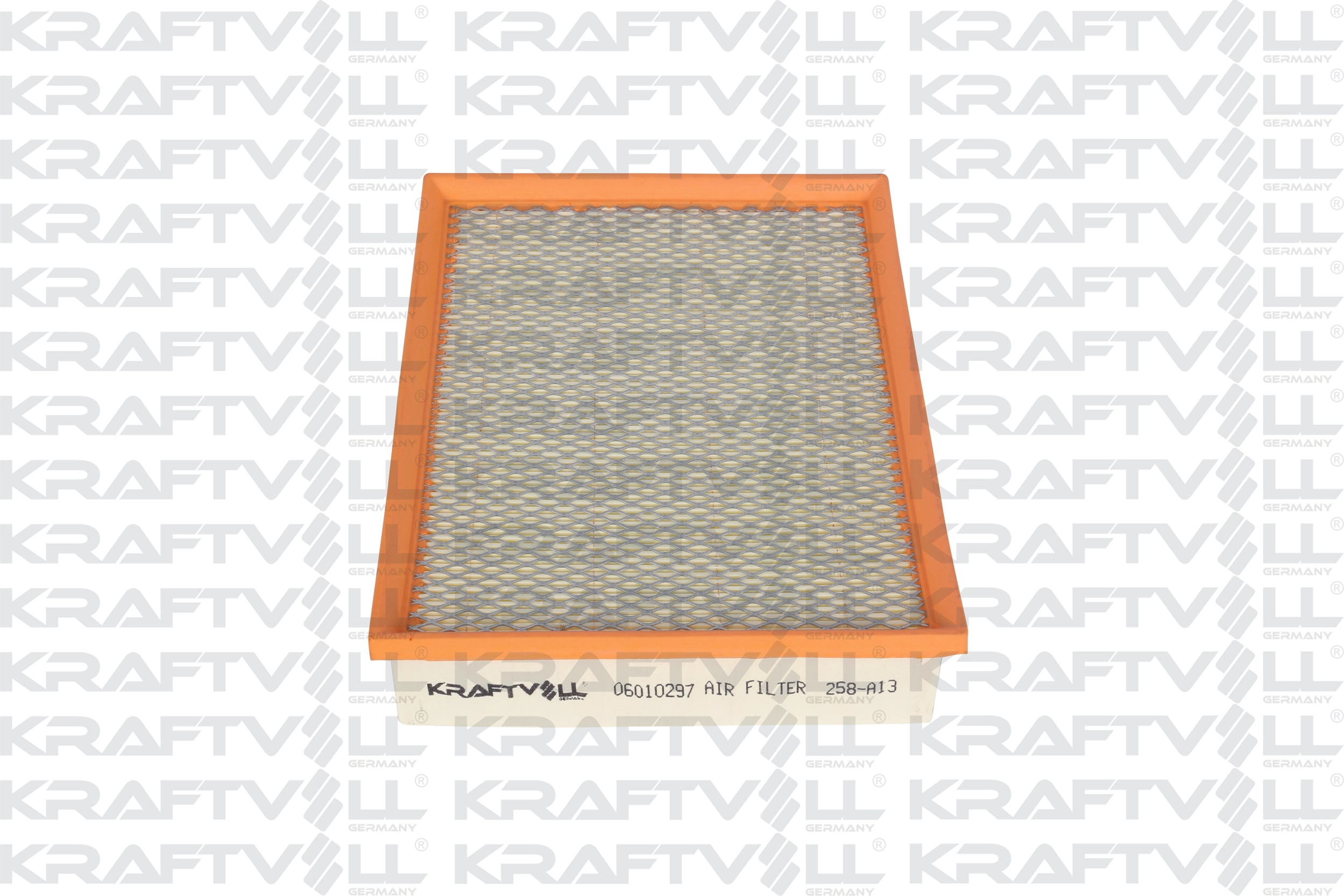 Air Filter (06010297)
