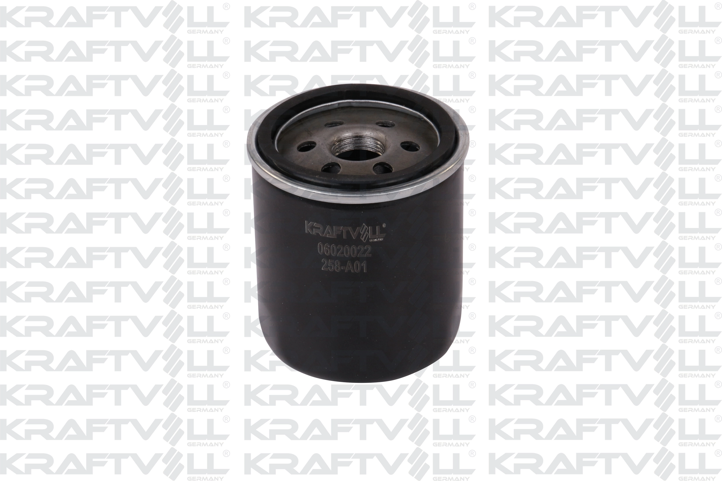 Oil Filter (06020022)