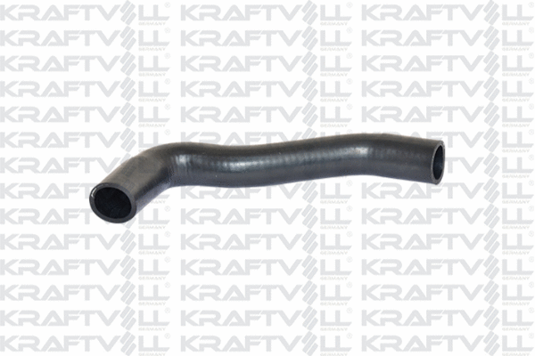 Radiator Hose (10031995)