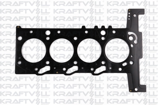 Gasket, cylinder head (12010029)