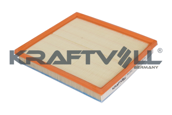 Air Filter (06010067)