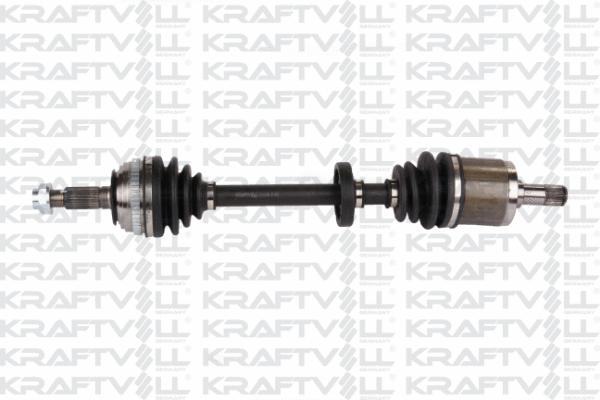 Drive Shaft (01010186)