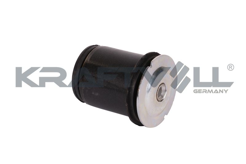 Bushing, axle beam (10050187)