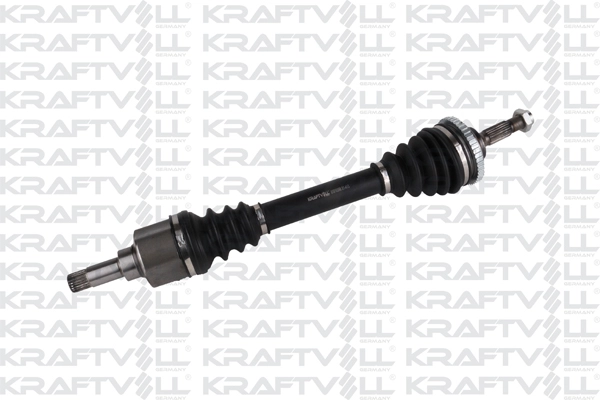 Drive Shaft (01010398)