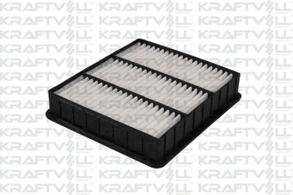 Air Filter (06010159)