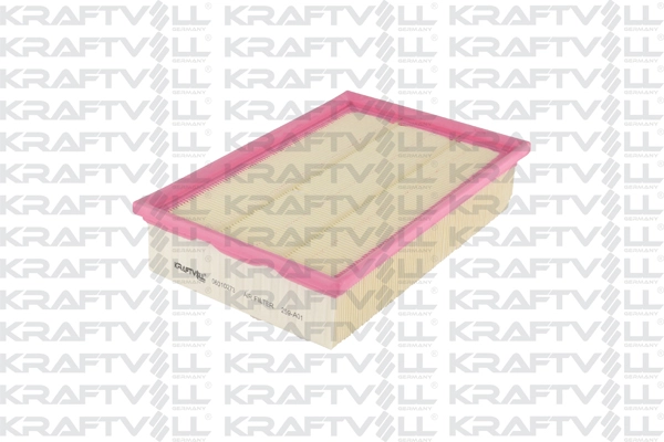 Air Filter (06010273)