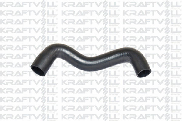 Radiator Hose (10031552)