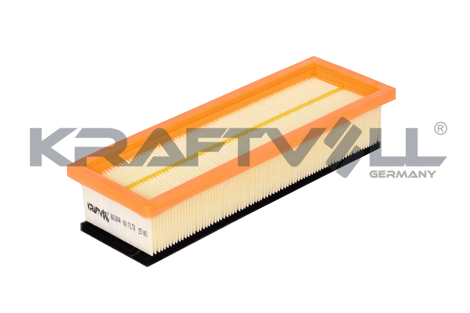 Air Filter (06010044)