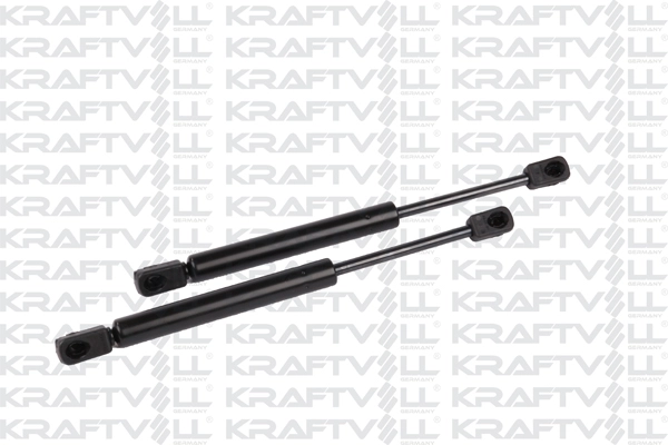 Gas Spring, boot/cargo area (09010010)