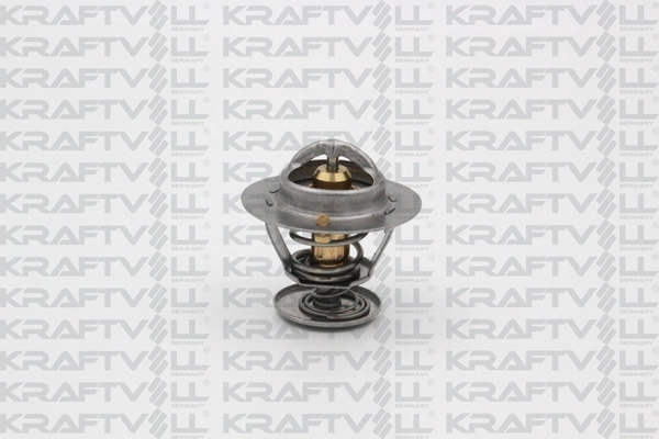Thermostat, coolant (08110093)