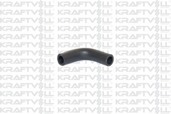 Radiator Hose (10031978)