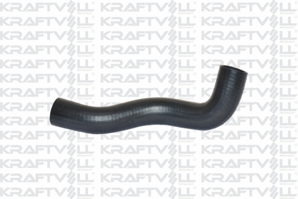 Radiator Hose (10031532)
