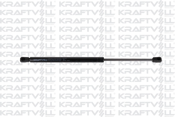 Gas Spring, rear window (09010528)