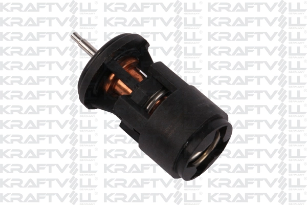 Thermostat, coolant (08100147)