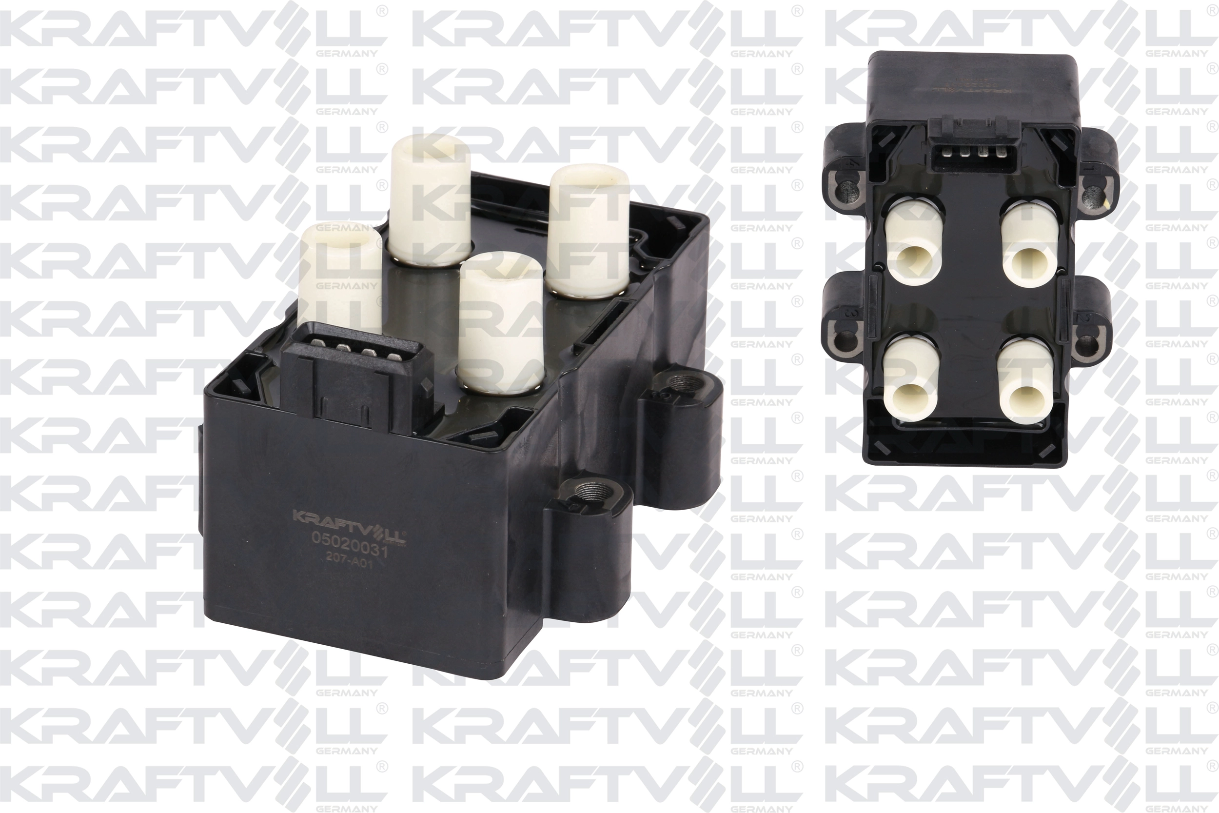 Ignition Coil (05020031)