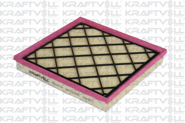 Air Filter (06010134)
