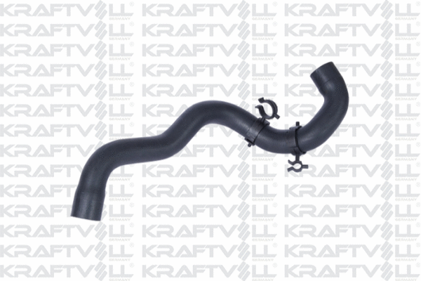 Radiator Hose (10031109)