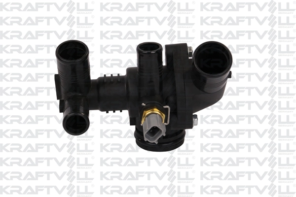 Thermostat, coolant (08100013)
