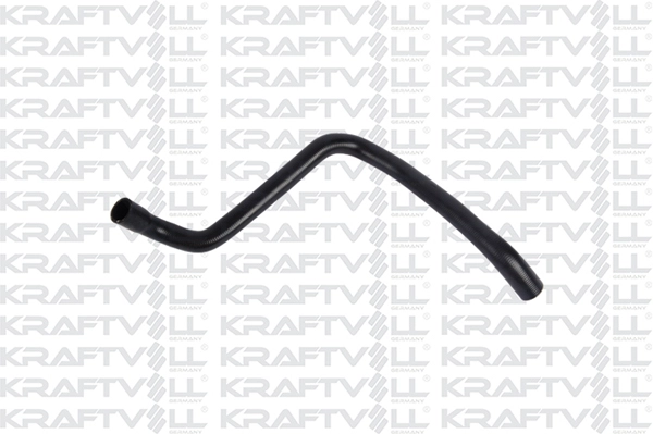 Radiator Hose (10030497)